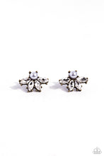 Load image into Gallery viewer, Stellar Showcase - Brass
